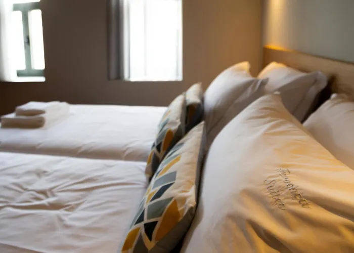 公寓 Fervenca 加亚新城